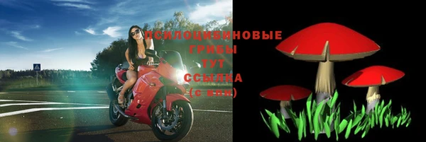 синтетический гашиш Белокуриха